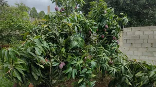 Fazenda / Sítio / Chácara com 3 Quartos à venda, 220m² no Brigadeiro Tobias, Sorocaba - Foto 21