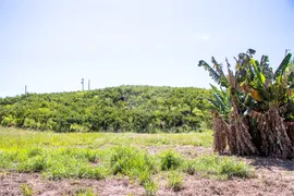 Fazenda / Sítio / Chácara à venda, 57800m² no Centro, Morungaba - Foto 15