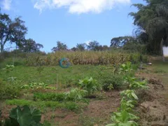 Fazenda / Sítio / Chácara com 2 Quartos à venda, 4000m² no Santa Cruz, Santo Antônio do Pinhal - Foto 8