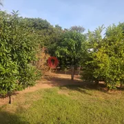 Fazenda / Sítio / Chácara com 5 Quartos à venda, 5000m² no Vila Azul, São José do Rio Preto - Foto 36
