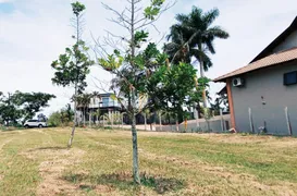 Terreno / Lote / Condomínio com 1 Quarto à venda, 1m² no Zona Rural, Porecatu - Foto 5