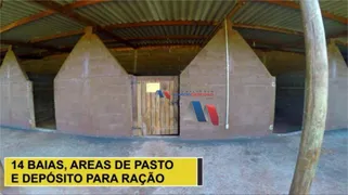 Fazenda / Sítio / Chácara com 3 Quartos à venda, 450m² no Rural, Uchoa - Foto 10
