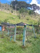 Fazenda / Sítio / Chácara com 2 Quartos à venda, 5000m² no , São Luiz do Paraitinga - Foto 5