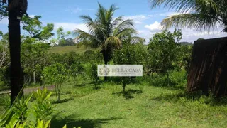 Fazenda / Sítio / Chácara com 3 Quartos à venda, 60000m² no São Vicente de Paula, Araruama - Foto 9