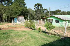 Fazenda / Sítio / Chácara com 3 Quartos à venda, 4850m² no Area Rural de Fazenda Rio Grande, Fazenda Rio Grande - Foto 24