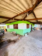 Fazenda / Sítio / Chácara com 3 Quartos à venda, 250m² no Setor Industrial Munir Calixto, Gameleira de Goiás - Foto 15