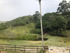 Terreno / Lote / Condomínio à venda, 20000m² no Itapeti, Guararema - Foto 8