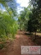 Fazenda / Sítio / Chácara com 4 Quartos à venda, 5000m² no Zona Rural, Indiara - Foto 14