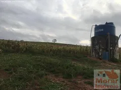 Fazenda / Sítio / Chácara à venda, 133m² no , Ribeirão Bonito - Foto 2