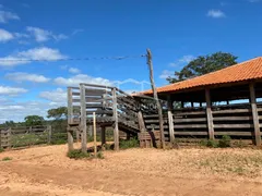 Fazenda / Sítio / Chácara à venda, 1000m² no Centro, Ubaí - Foto 22