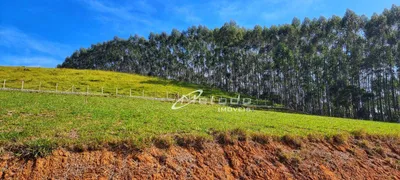 Terreno / Lote / Condomínio à venda, 1000m² no Itaoca, Guararema - Foto 36