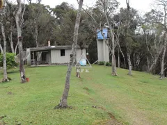 Fazenda / Sítio / Chácara com 4 Quartos à venda, 21945m² no Lagoinha, Tijucas do Sul - Foto 29