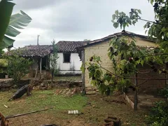 Fazenda / Sítio / Chácara com 3 Quartos à venda, 120m² no Zona Rural, Pirenópolis - Foto 8