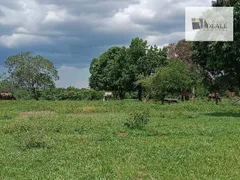 Fazenda / Sítio / Chácara à venda, 590m² no Zona Rural, Poconé - Foto 29