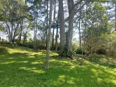 Terreno / Lote / Condomínio à venda, 78622m² no Caucaia do Alto, Cotia - Foto 17