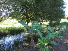 Fazenda / Sítio / Chácara com 2 Quartos à venda, 45000m² no Maraporã, Cachoeiras de Macacu - Foto 10