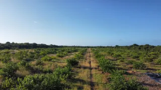 Fazenda / Sítio / Chácara à venda, 170000m² no Paripueira, Beberibe - Foto 12