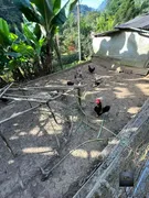 Fazenda / Sítio / Chácara com 3 Quartos à venda, 52m² no Barnabes, Juquitiba - Foto 20