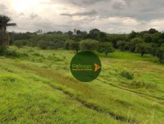 Fazenda / Sítio / Chácara à venda, 1064800m² no Zona Rural, Itapirapuã - Foto 10