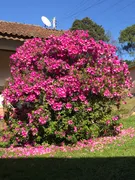 Casa de Condomínio com 4 Quartos à venda, 1800m² no Fazenda Fialho, Taquara - Foto 32