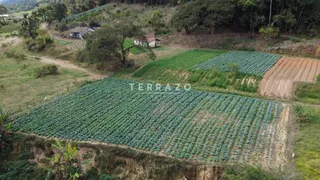 Fazenda / Sítio / Chácara com 4 Quartos à venda, 571725m² no Providencia, Teresópolis - Foto 4