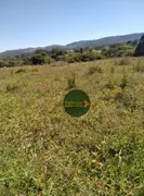 Fazenda / Sítio / Chácara à venda, 48400m² no Zona Rural, Heitoraí - Foto 3
