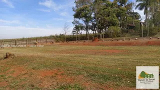 Fazenda / Sítio / Chácara com 2 Quartos à venda, 4200m² no Centro, Cesário Lange - Foto 6