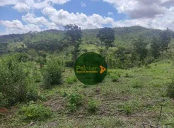 Fazenda / Sítio / Chácara com 2 Quartos à venda, 484000m² no Zona Rural, Heitoraí - Foto 6