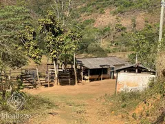 Fazenda / Sítio / Chácara à venda, 73610m² no Santa Isabel do Rio Preto, Valença - Foto 39