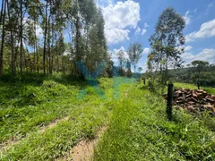 Fazenda / Sítio / Chácara com 2 Quartos à venda, 60m² no Zona Rural, São Sebastião do Oeste - Foto 14