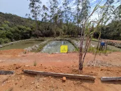 Terreno / Lote / Condomínio à venda, 6000m² no Torreoes, Juiz de Fora - Foto 25