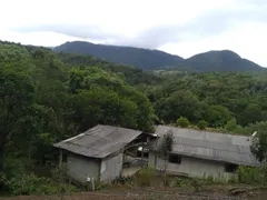 Fazenda / Sítio / Chácara com 3 Quartos à venda, 3000m² no Zona Rural, Campina Grande do Sul - Foto 21