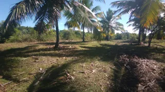 Fazenda / Sítio / Chácara à venda, 74000m² no Zona Rural, Conde - Foto 4