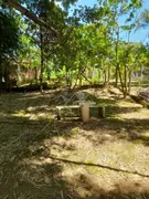 Fazenda / Sítio / Chácara com 3 Quartos à venda, 2000m² no Bananal, Campinas - Foto 17