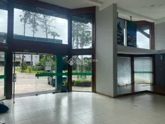 Loja / Salão / Ponto Comercial para alugar, 240m² no Centro, Gramado - Foto 5