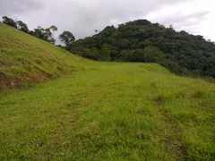 Fazenda / Sítio / Chácara à venda, 24000m² no Visconde de Mauá, Resende - Foto 12