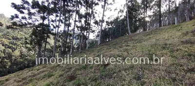 Terreno / Lote / Condomínio à venda, 37000m² no Zona Rural, Virgínia - Foto 9