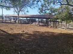 Fazenda / Sítio / Chácara com 3 Quartos à venda, 103m² no Zona Rural, Colinas do Sul - Foto 2
