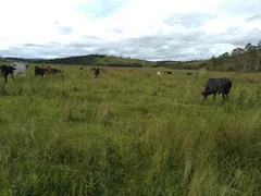 Fazenda / Sítio / Chácara à venda, 720900m² no Zona Rural, Oliveira - Foto 8