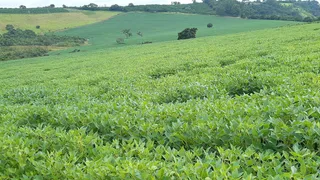 Fazenda / Sítio / Chácara à venda, 2137828m² no Zona Rural, Turvolândia - Foto 9