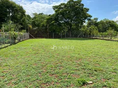 Fazenda / Sítio / Chácara com 3 Quartos à venda, 150m² no Zona Rural, Anápolis - Foto 33