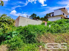 Terreno / Lote / Condomínio à venda, 257m² no Floresta, Joinville - Foto 9