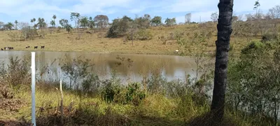 Terreno / Lote / Condomínio à venda, 20000m² no Sao Vicente, Baldim - Foto 10