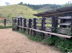 Fazenda / Sítio / Chácara com 1 Quarto à venda, 740000m² no Dores do Paraibuna, Santos Dumont - Foto 24