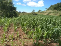 Terreno / Lote / Condomínio à venda, 21147m² no Centro, Linha Nova - Foto 1