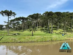 Fazenda / Sítio / Chácara com 4 Quartos à venda, 200m² no Zona Rural, Campo Alegre - Foto 18