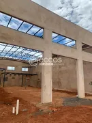 Galpão / Depósito / Armazém à venda, 360m² no Segismundo Pereira, Uberlândia - Foto 10