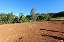 Fazenda / Sítio / Chácara à venda, 30000m² no Zona Rural, Pato Branco - Foto 6