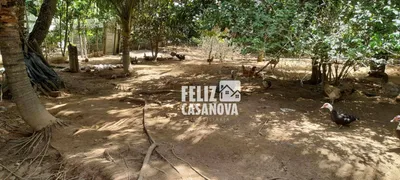 Fazenda / Sítio / Chácara à venda, 4000m² no Pitanguinha, Simões Filho - Foto 16