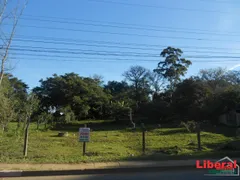 Fazenda / Sítio / Chácara com 2 Quartos à venda, 114m² no Martinica, Viamão - Foto 7